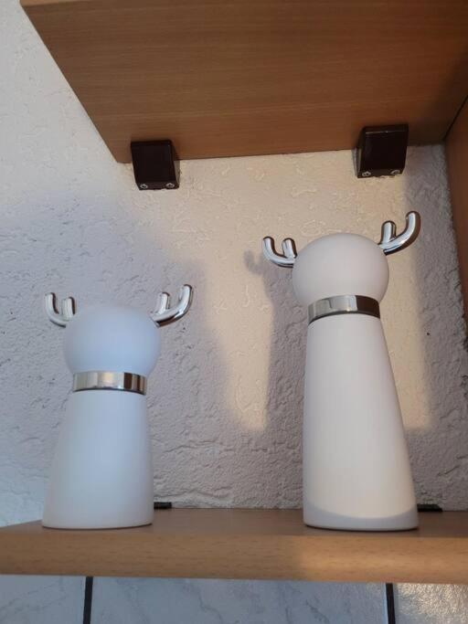 Appartement Rheinauszeit *