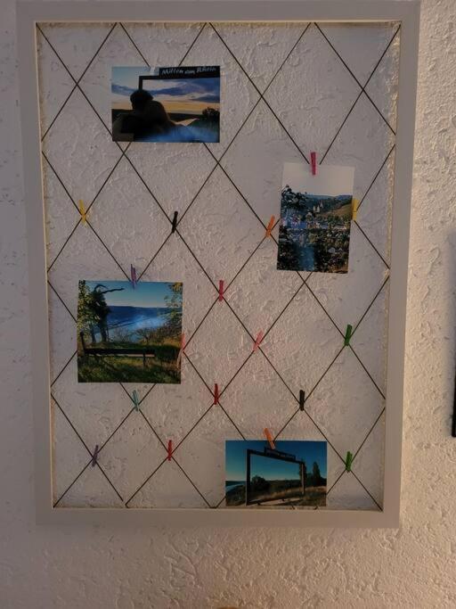 Appartement Rheinauszeit *